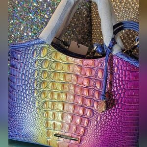 Multicolor Magic Ombre Brahmin Small Elaine Designer Women's Handbag, NWT